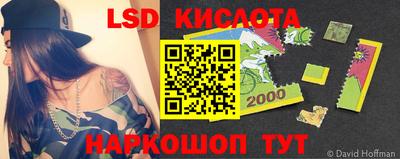a pvp Кингисепп