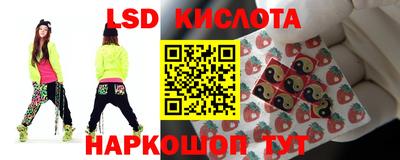 a pvp Кингисепп