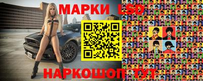 a pvp Кингисепп