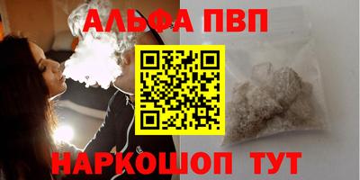 a pvp Кингисепп