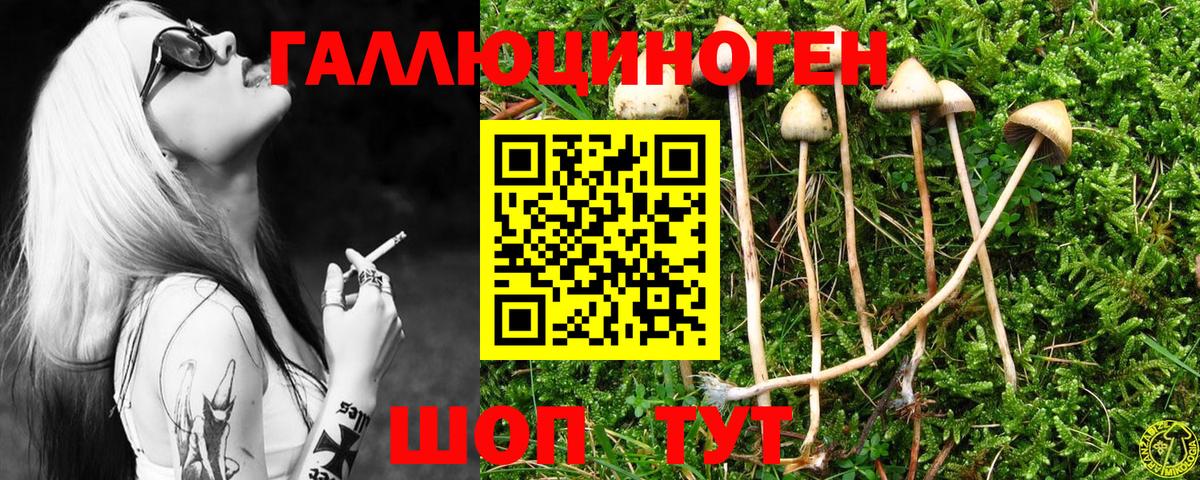 Псилоцибиновые грибы мицелий  Вход с VPN  Псилоцибиновые грибы мицелий  Кыштым 