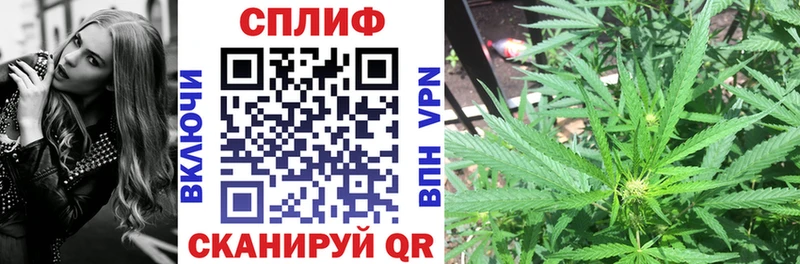 как найти закладки  Кыштым  Каннабис тримм 
